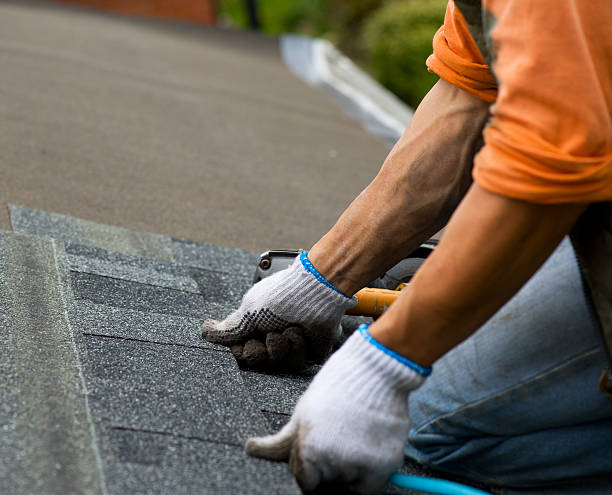 Best Roof Gutter Cleaning  in Raven, VA